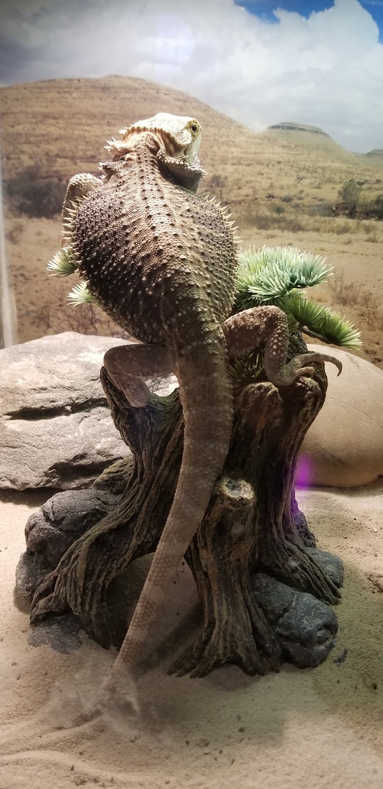 Paramount Motel in East Stroudsburg, Pennsylvania, United States