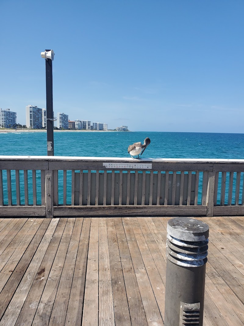 Pelican By The Sea in Pompano Beach, Florida, United States