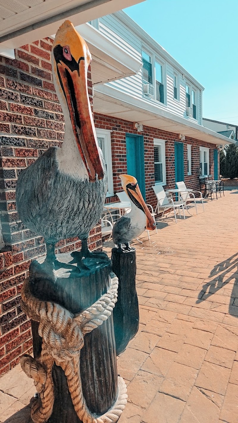 Pelican Point Motel in Point Pleasant Beach, New Jersey, United States