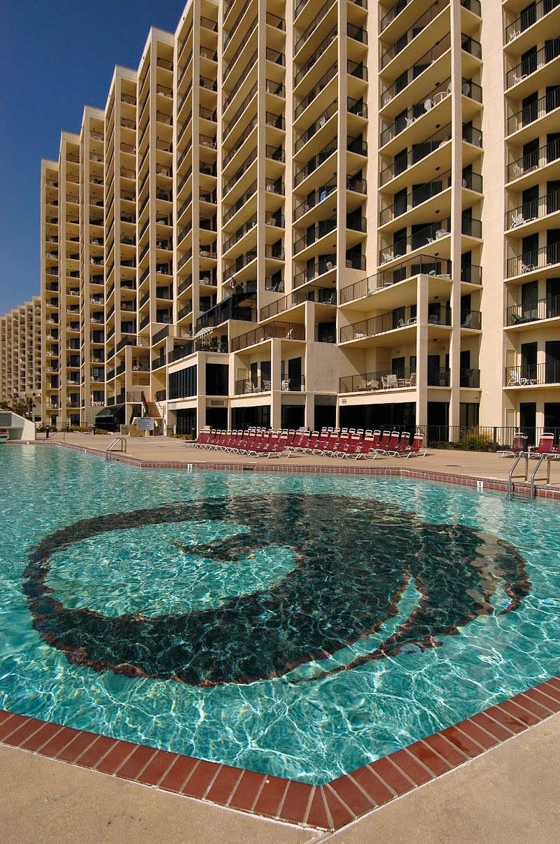 Phoenix VII in Orange Beach, Alabama, United States