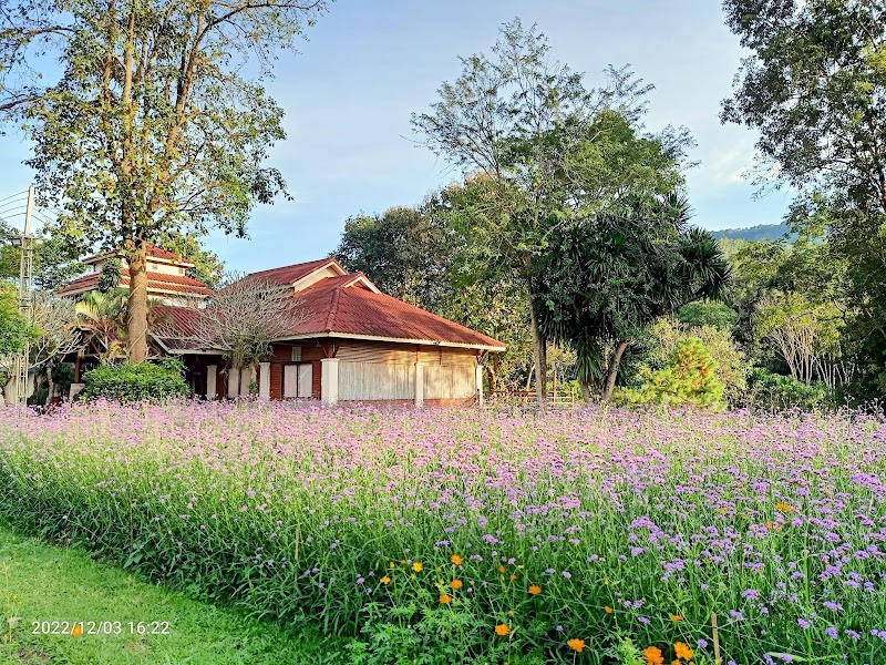 Phurua Resort in Loei, Thailand