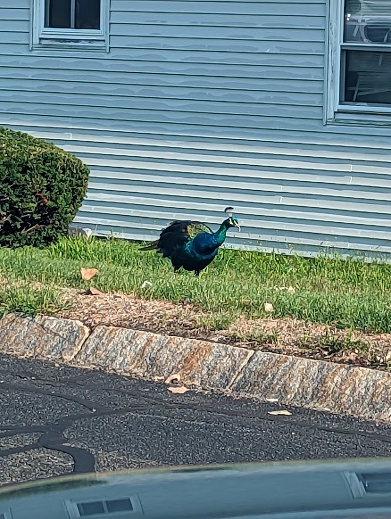 Plaza Inn Peabody in Peabody, Massachusetts, United States