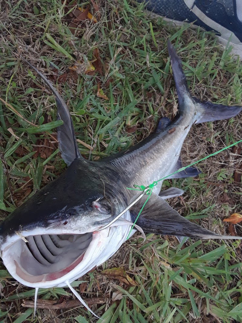 Punta Gorda Isles in Punta Gorda, Florida, United States