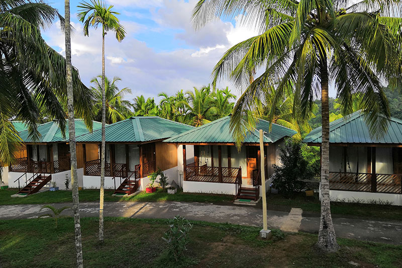 Rainforest Cottage in Juneau, Alaska, United States