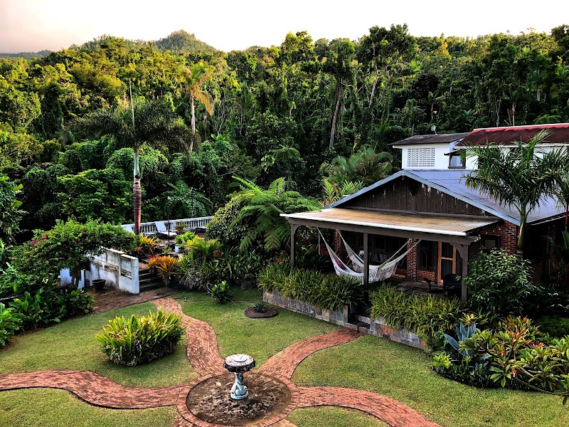 Rainforest Inn in Luquillo, Puerto Rico, United States