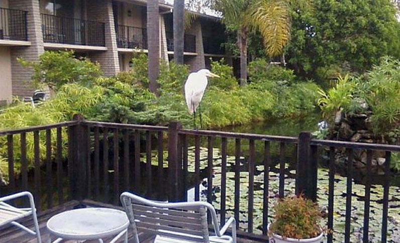 Ramada by Wyndham Oxnard in Oxnard, California, United States