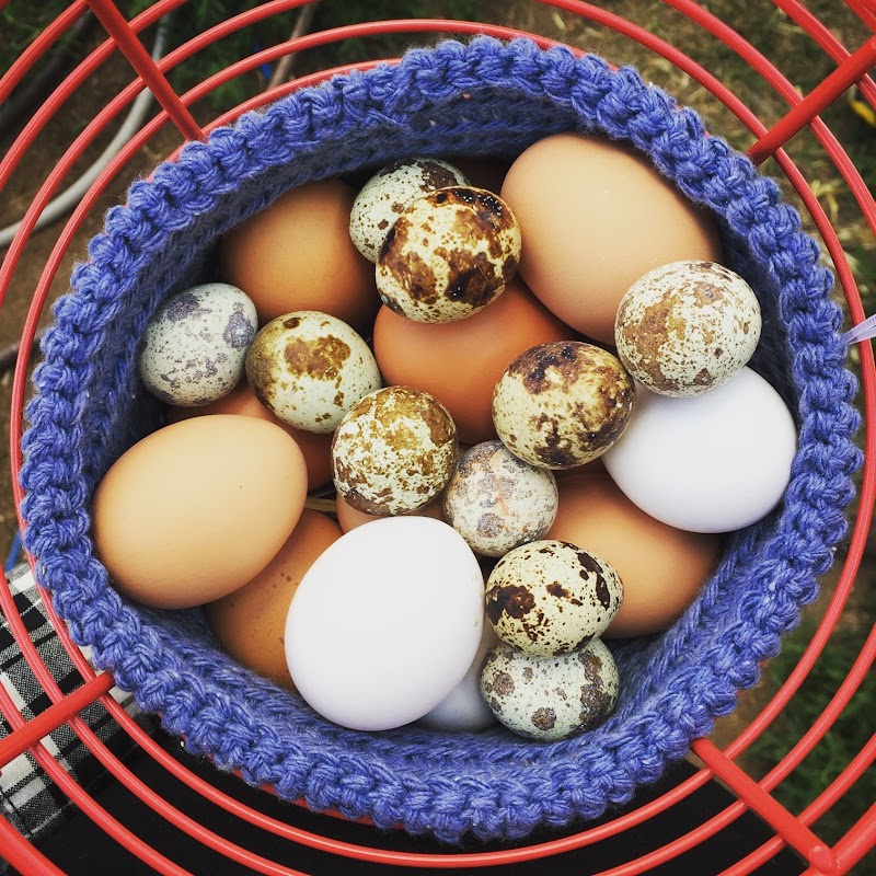 Riverwalk Inn in Chelan, Washington, United States