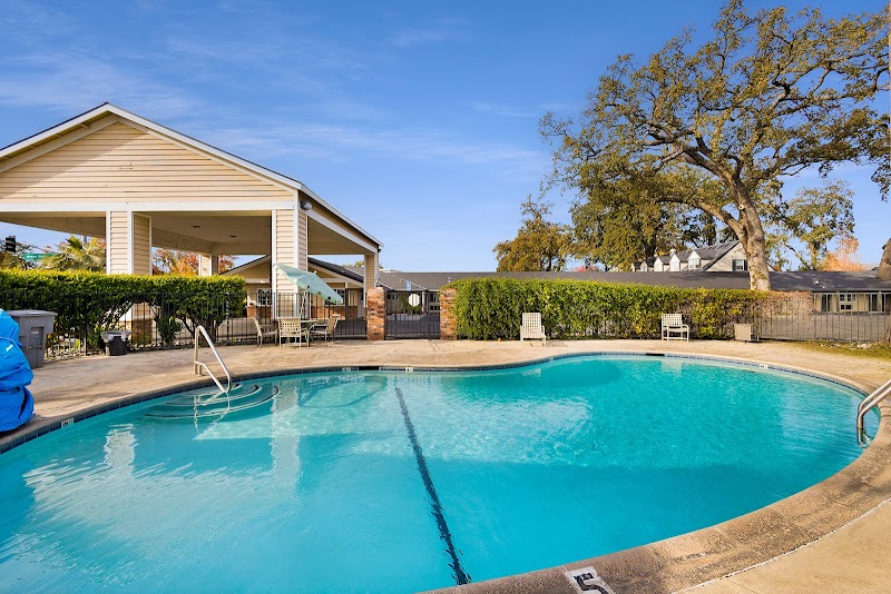 Safari Inn Motel in Chico, California, United States