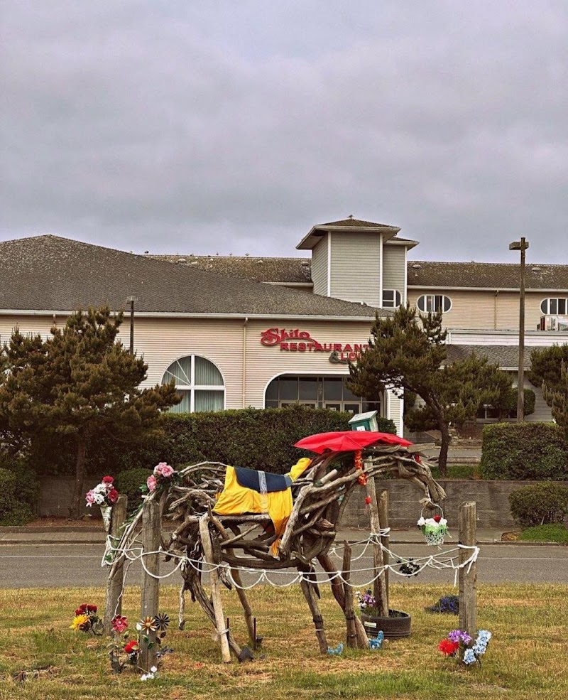 Shilo Inn Suites Ocean Shores in Ocean Shores, Washington, United States