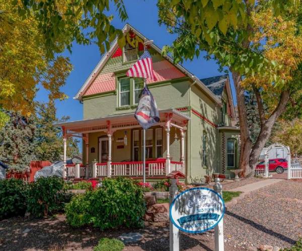 Silk Pincushion in Golden, Colorado, United States