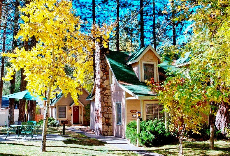 Sleepy Forest Cottages in Big Bear Lake, California, United States