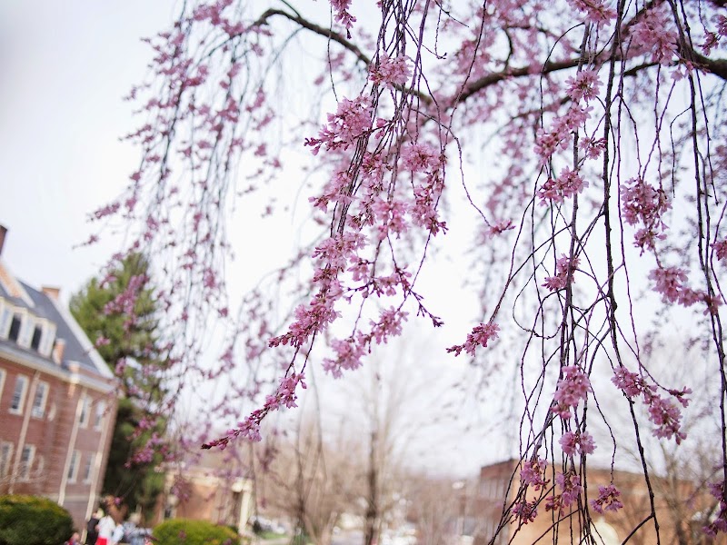 Southern Virginia University Inn in Buena Vista, Virginia, United States