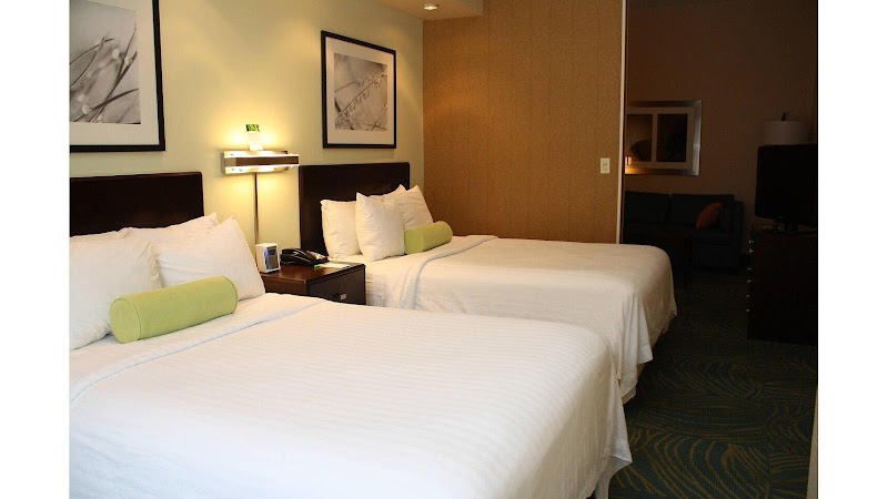 SpringHill Suites by Marriott Morgantown in Morgantown, West Virginia, United States