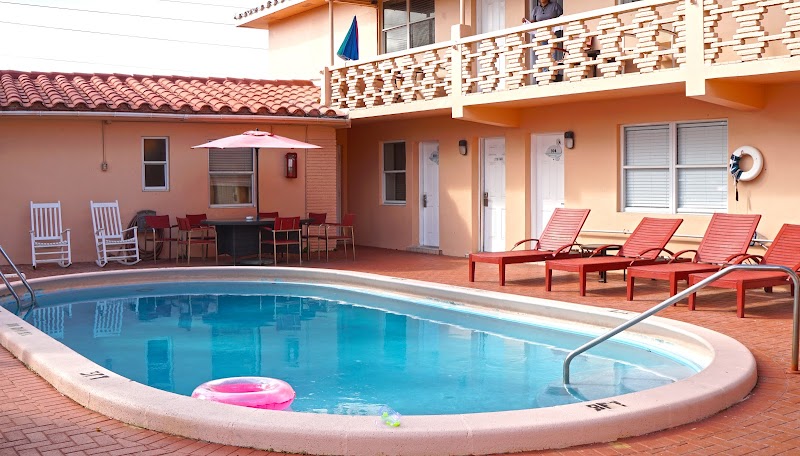 Swan in Hollywood, Florida, United States