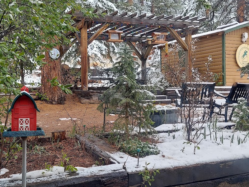 The Anchorage Farm in Evergreen, Colorado, United States