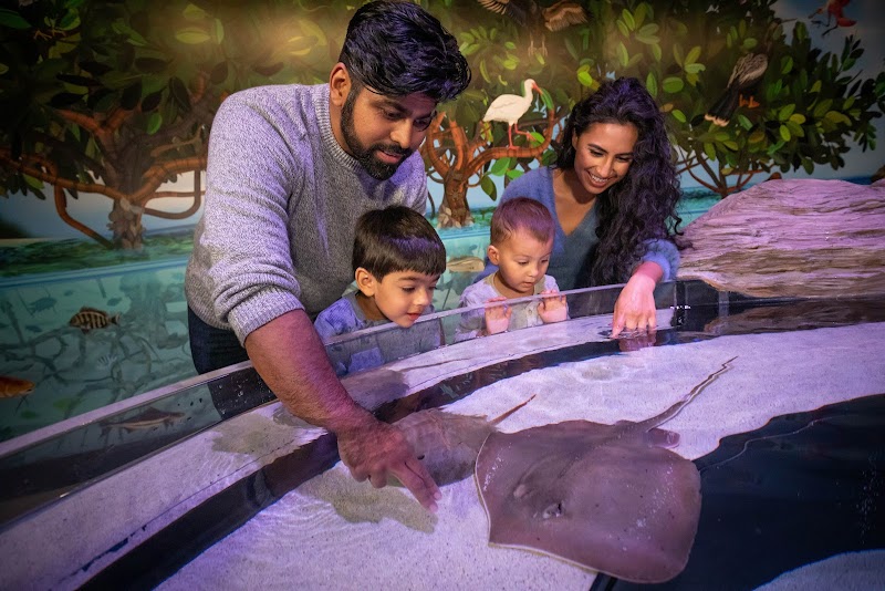 The Aquarium of Niagara Bed and Breakfast in Niagara Falls, New York, United States