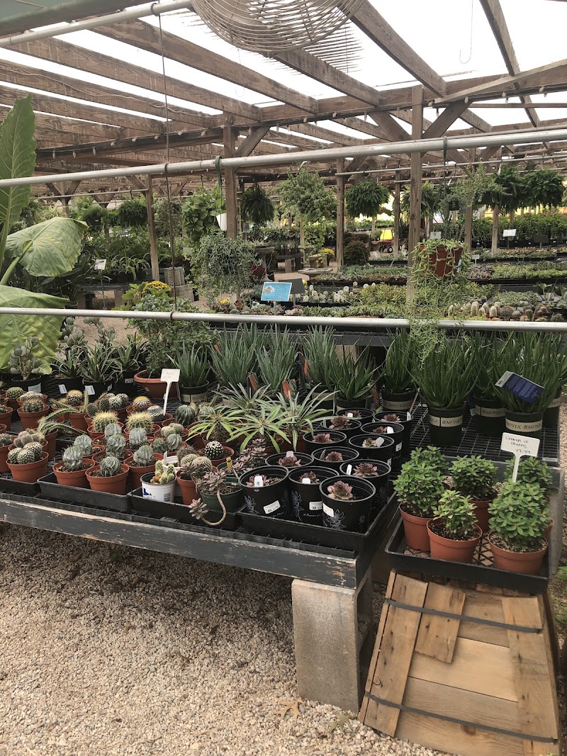 The Backbone Guest Farm in Marble Falls, Texas, United States