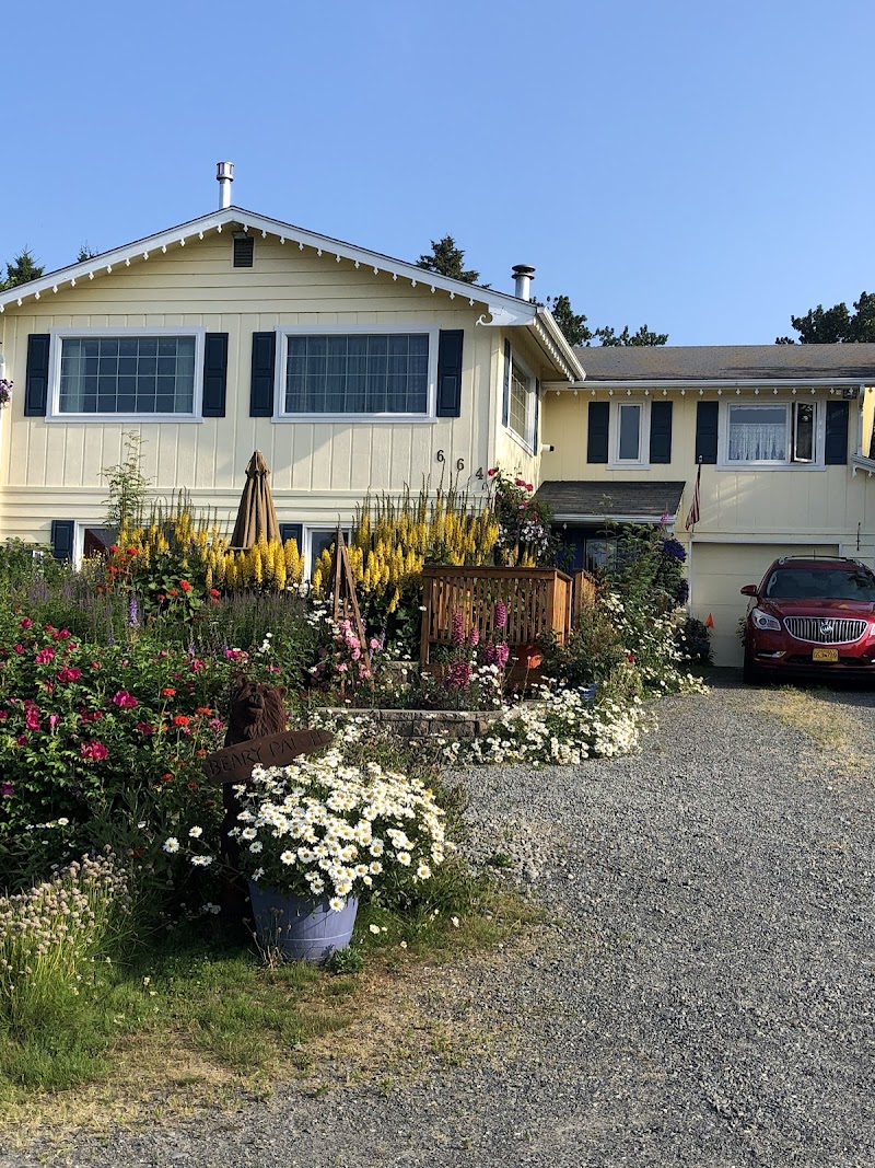 The Beary Patch in Homer, Alaska, United States