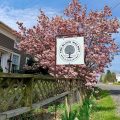 The Black Walnut Bed & Breakfast