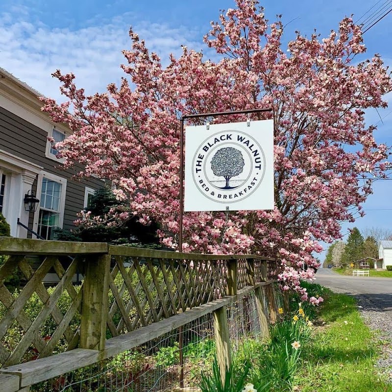 The Black Walnut Bed & Breakfast in Ithaca, New York, United States