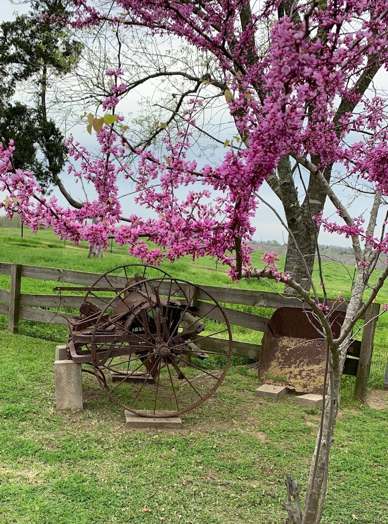 The Hoffmann Vacation Rental in Brenham, Texas, United States