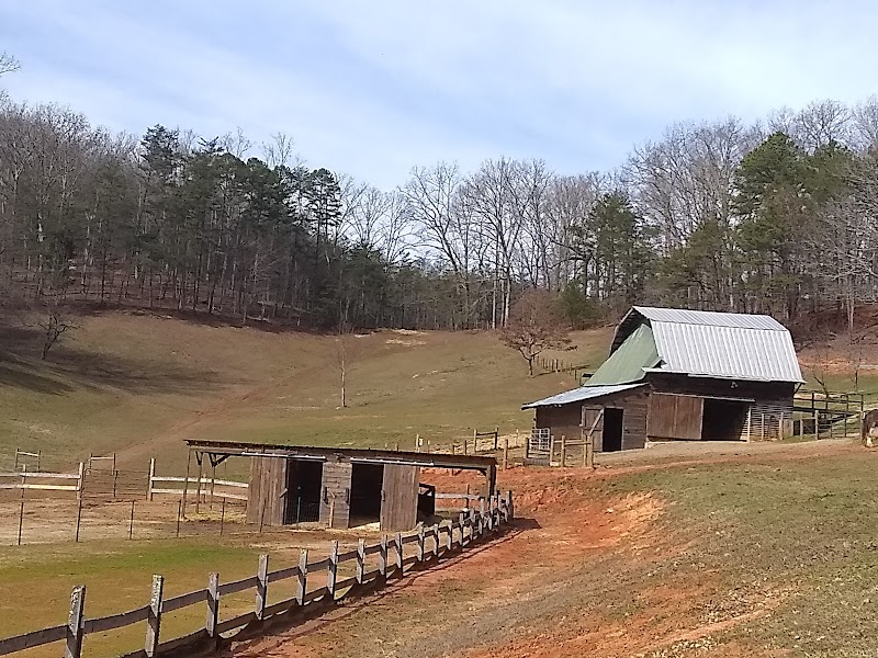 The Horse's Hoof Bed and Breakfast in Johnson City, Tennessee, United States