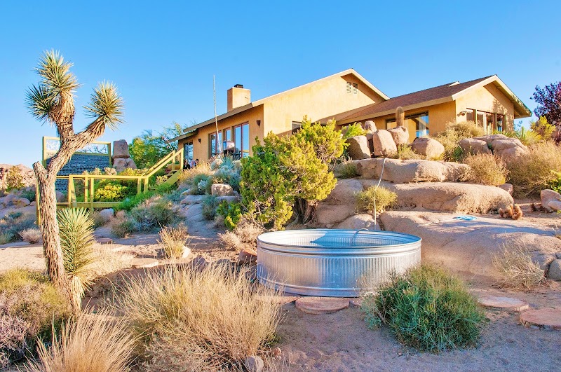 The Joshua Tree Oasis in Joshua Tree, California, United States