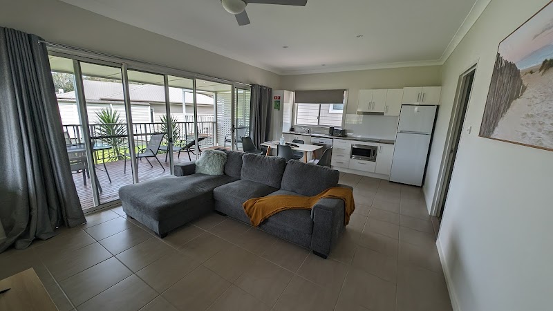 The Leaning Oak in Healdsburg, California, United States