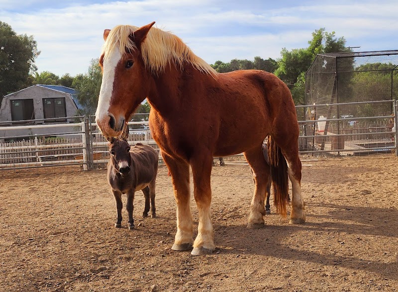 The Malibu Sanctuary in Malibu, California, United States