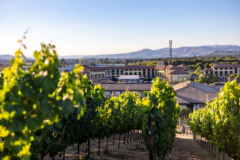 The Meritage Resort and Spa in Napa, California, United States