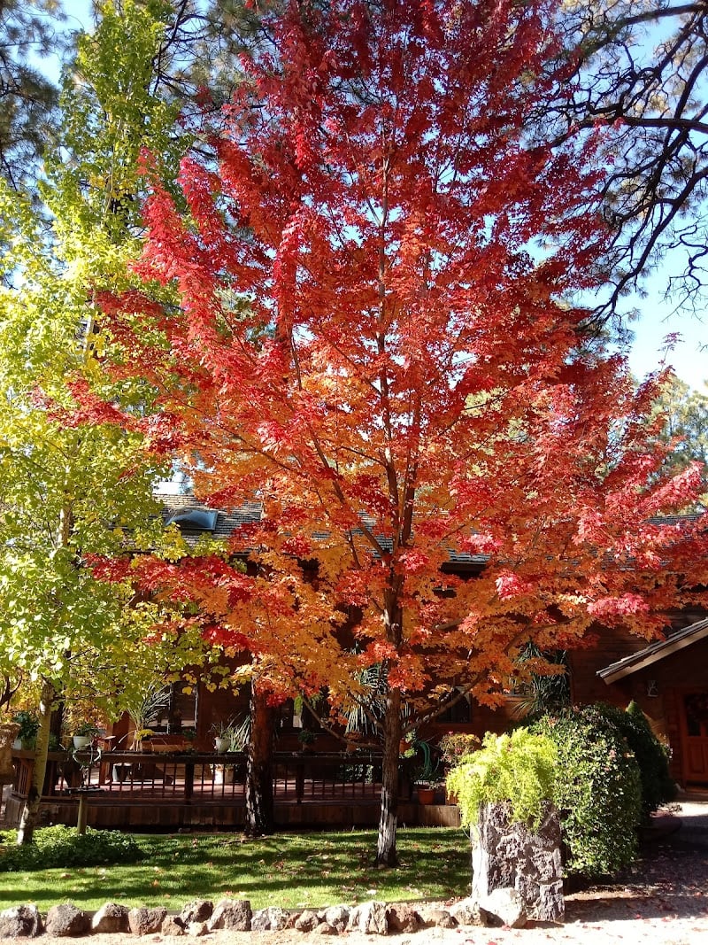 The Place at Pinetop in Pinetop-Lakeside, Arizona, United States