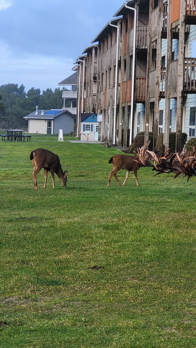 The Polynesian Resort in Ocean Shores, Washington, United States