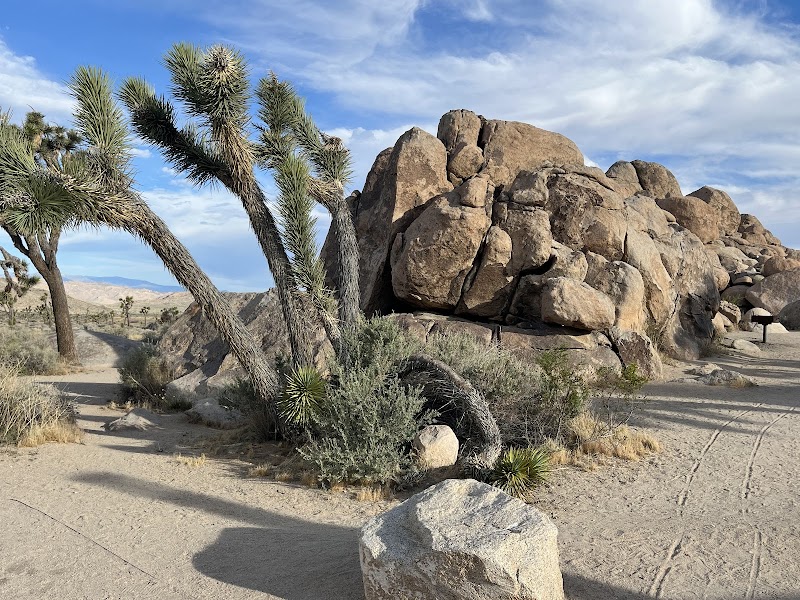 The Quail's Nest in Joshua Tree, California, United States