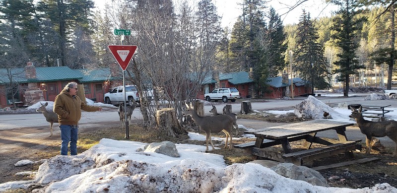 The Spruce Cabins in Cloudcroft, NM, United States