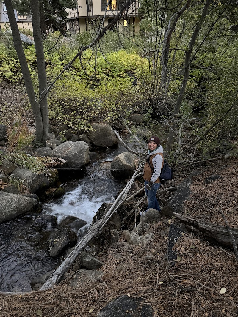 Third Creek Townhomes in Incline Village, Nevada, United States
