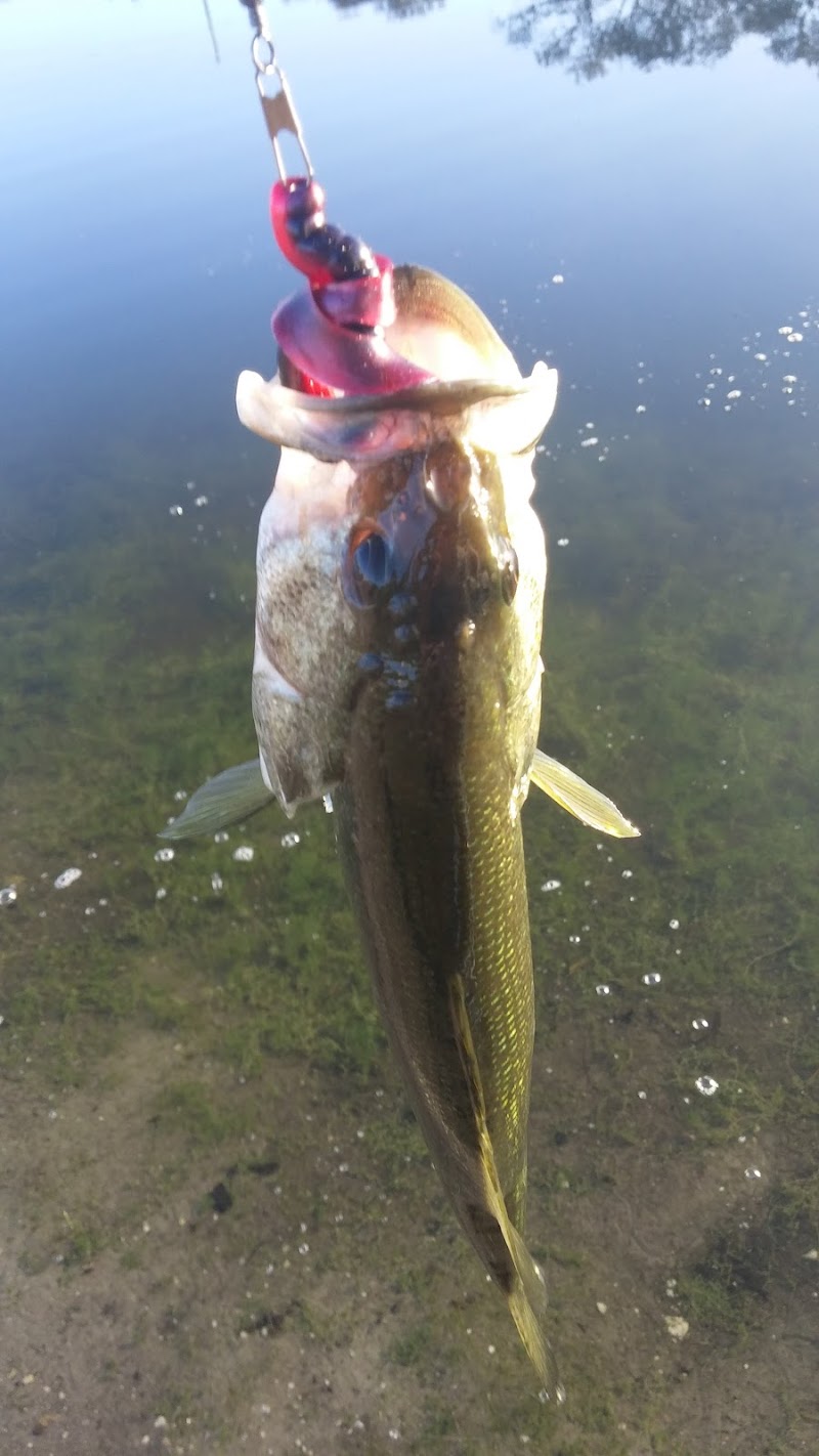 Three Lakes RV Resort in Hudson, Florida, United States