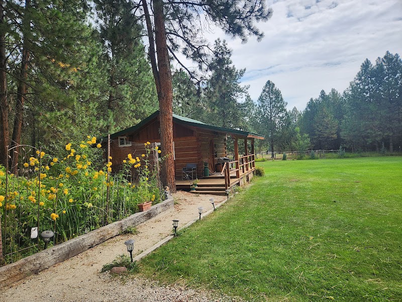 Time After Time in Hamilton, Montana, United States