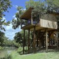 Treetop Bed & Breakfast