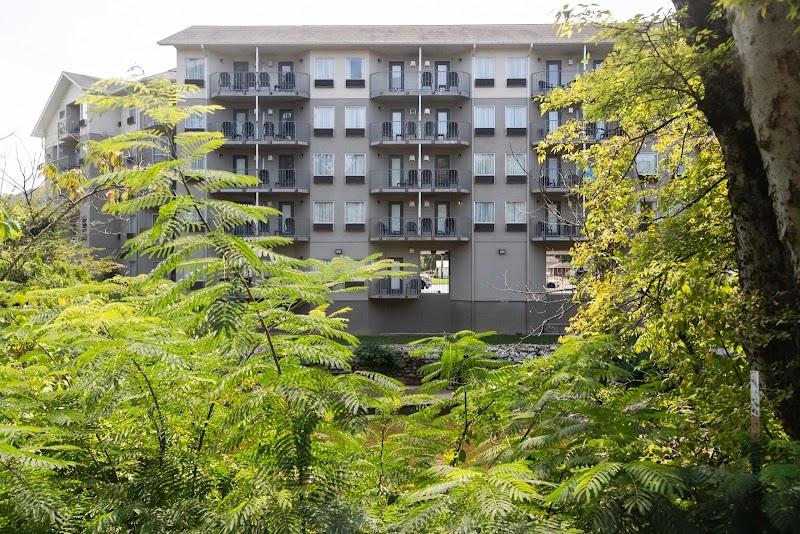 Twin Mountain Inn & Suites in Pigeon Forge, Tennessee, United States