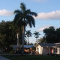 Villa Cape Coral