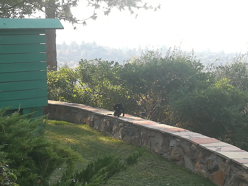 Vultures View in Oakhurst, California, United States