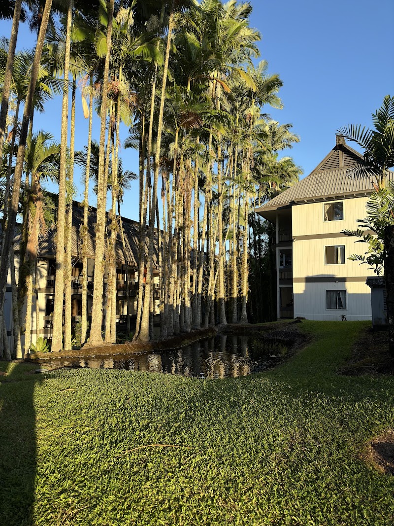 Wainaku Villa Vacation Rental in Hilo, Hawaii, United States