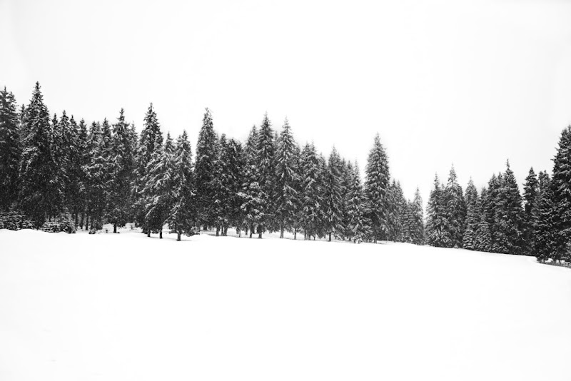 Whispering Pines Cabins in Ruidoso, New Mexico, United States