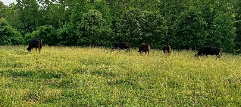 Whitewood Farm in Lexington, Virginia, United States