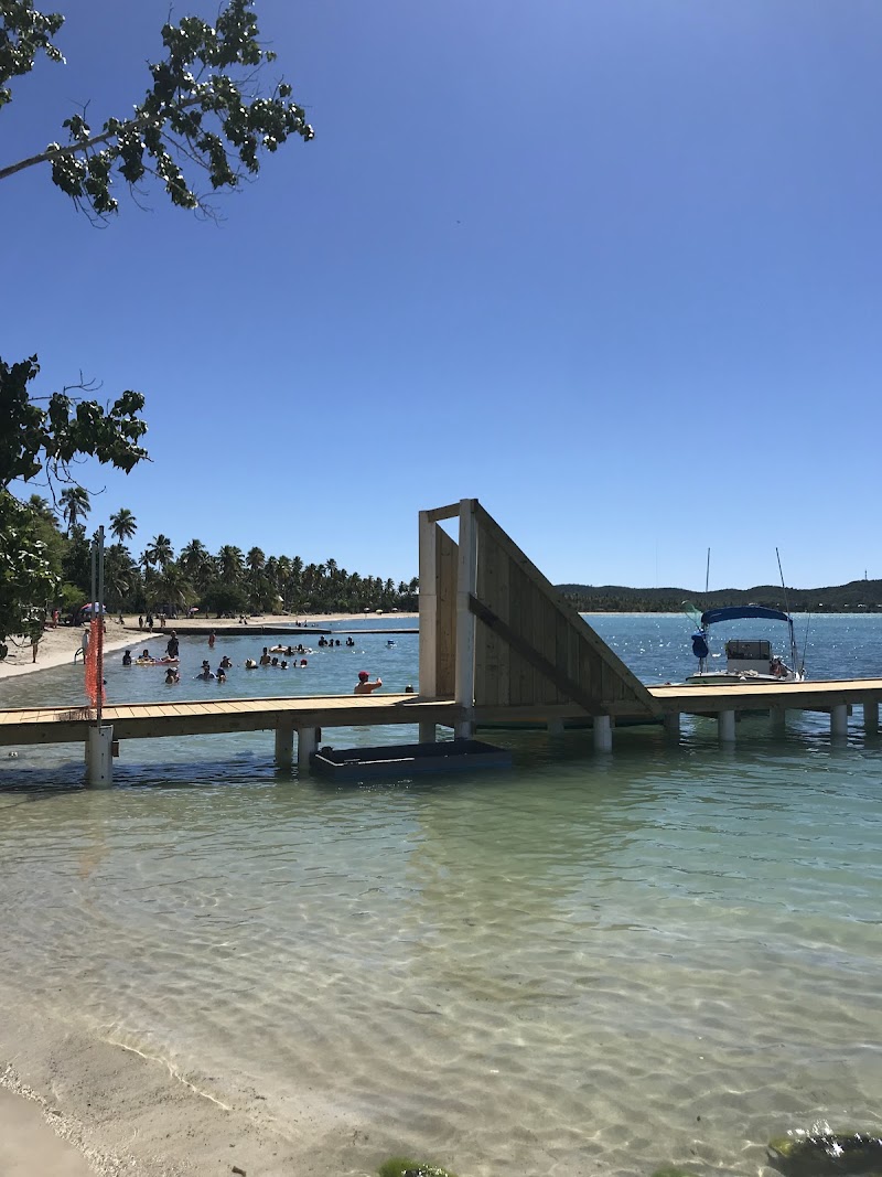 Wild Flowers Guesthouse in Cabo Rojo, Puerto Rico, United States