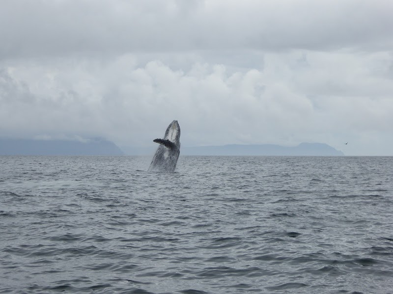Wilderness Beach Lodge in Kodiak, Alaska, United States
