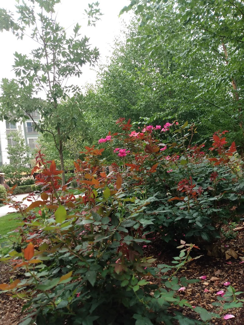 Willows Bed & Breakfast in Newberg, Oregon, United States