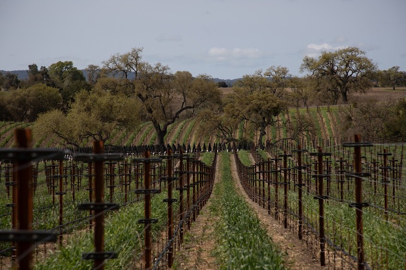 Zenaida Cellars in Paso Robles, CA, United States