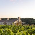 Alloro Vineyard Bed & Breakfast
