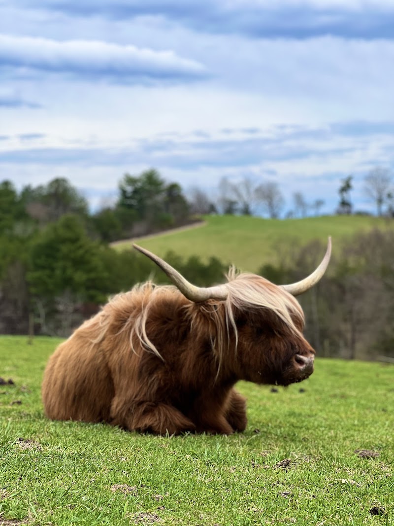 Aunt Sally's Farm in Black Mountain, North Carolina, United States